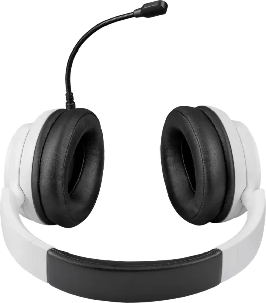 Defender Home - Беспроводная гарнитура Fang Pro Defender Home - Беспроводная гарнитура Fang Pro